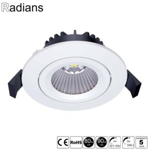 LED Spot Downlight