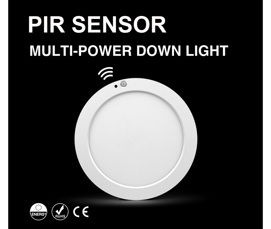 LED Downlight With Sensor- RS-RD-0625PIR-MW