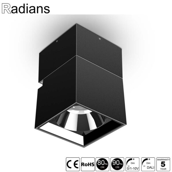 Surface Mounted Adjustable Downlight