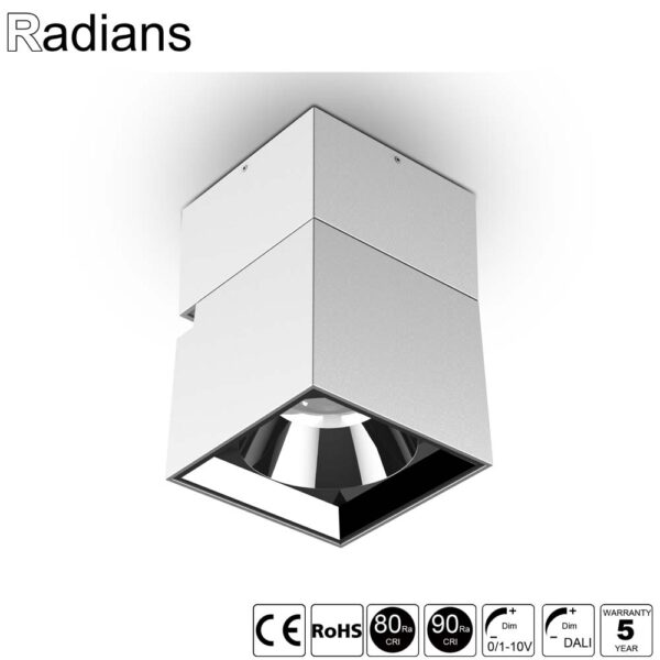 Surface Mounted Adjustable Downlight